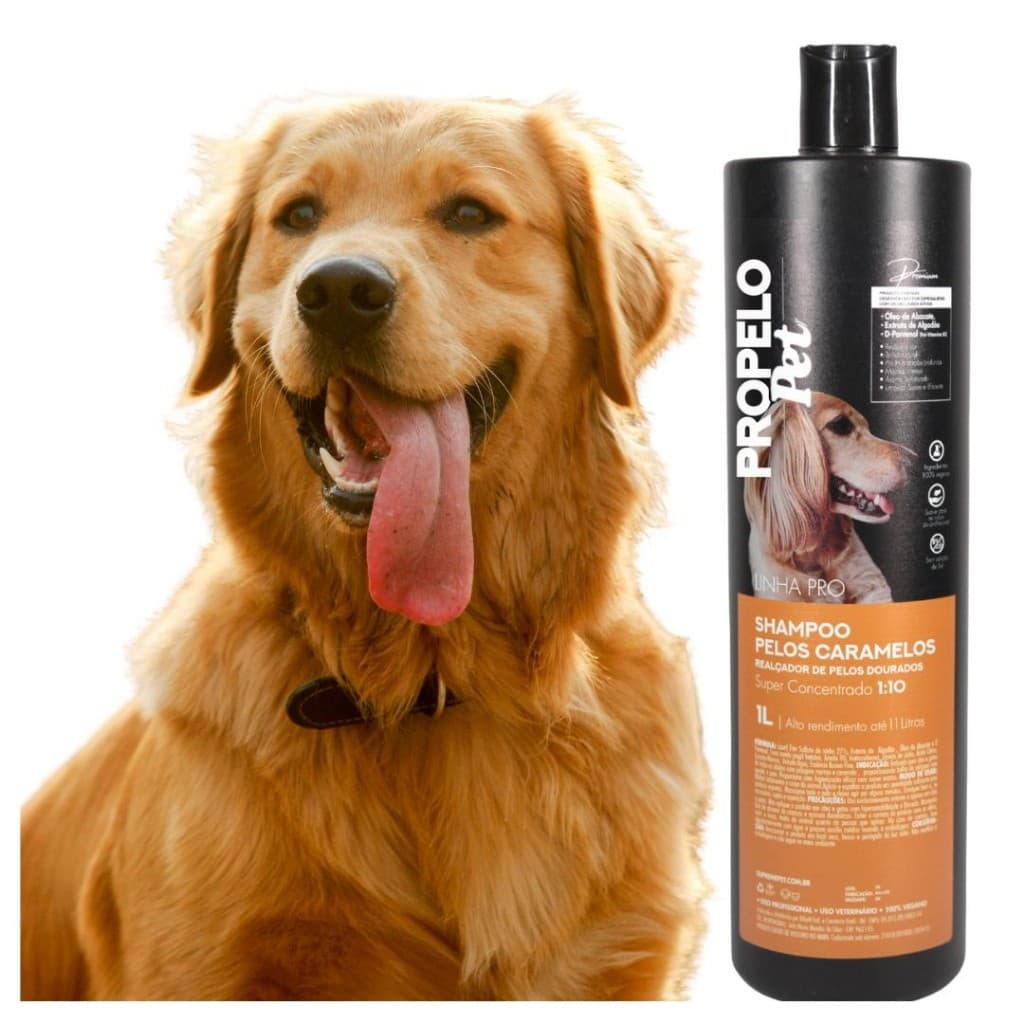 SHAMPOO PET  Realçador de Pelo Caramelo Golden Labrador Gato Caramelo  Cães e Gatos Faz 11L  Concentrado1:10