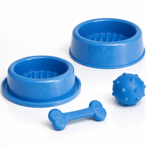 Kit Enxoval Pet Comedouro Bebedouro 300ml Anti Formiga e Brinquedos para Cachorro Pequeno Filhote
