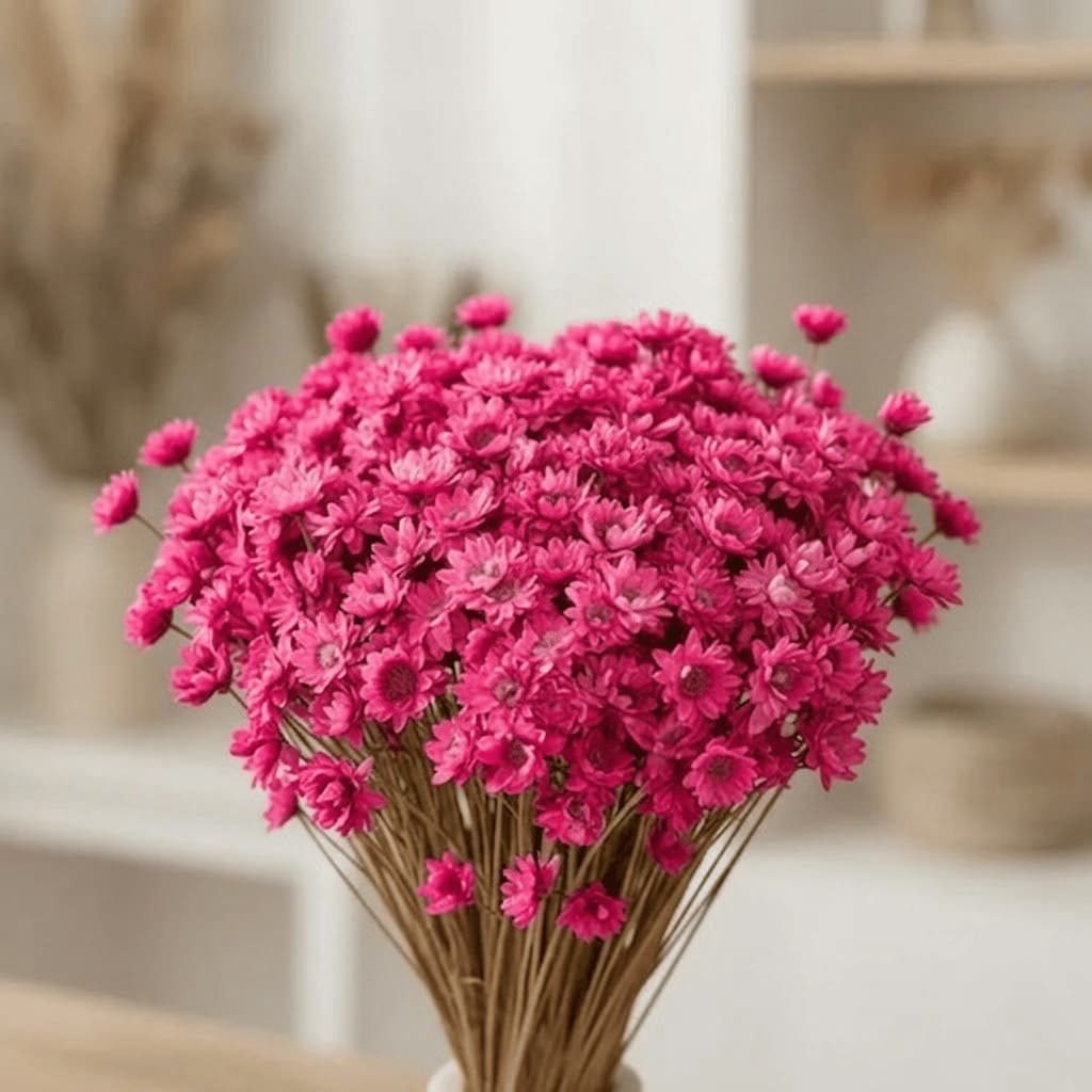 Flor Sempre Viva Desidratadas e Seca - Cor Rosa Pink | 200/400/800 Flores Decoração, Arranjo e Buquê