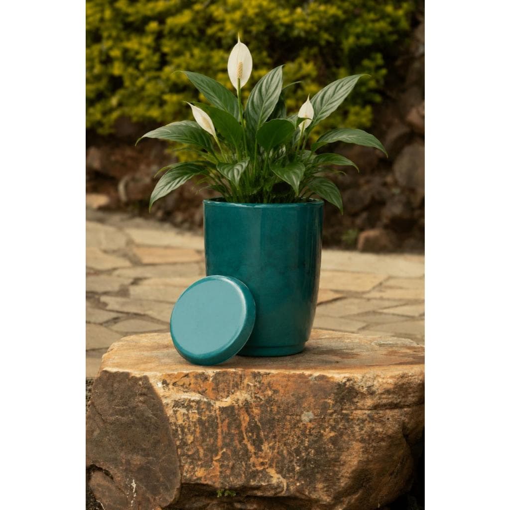 Vaso para Planta Cone Bojo Liso 29cm de Altura Para Planta de Pequeno e Médio Porte N1