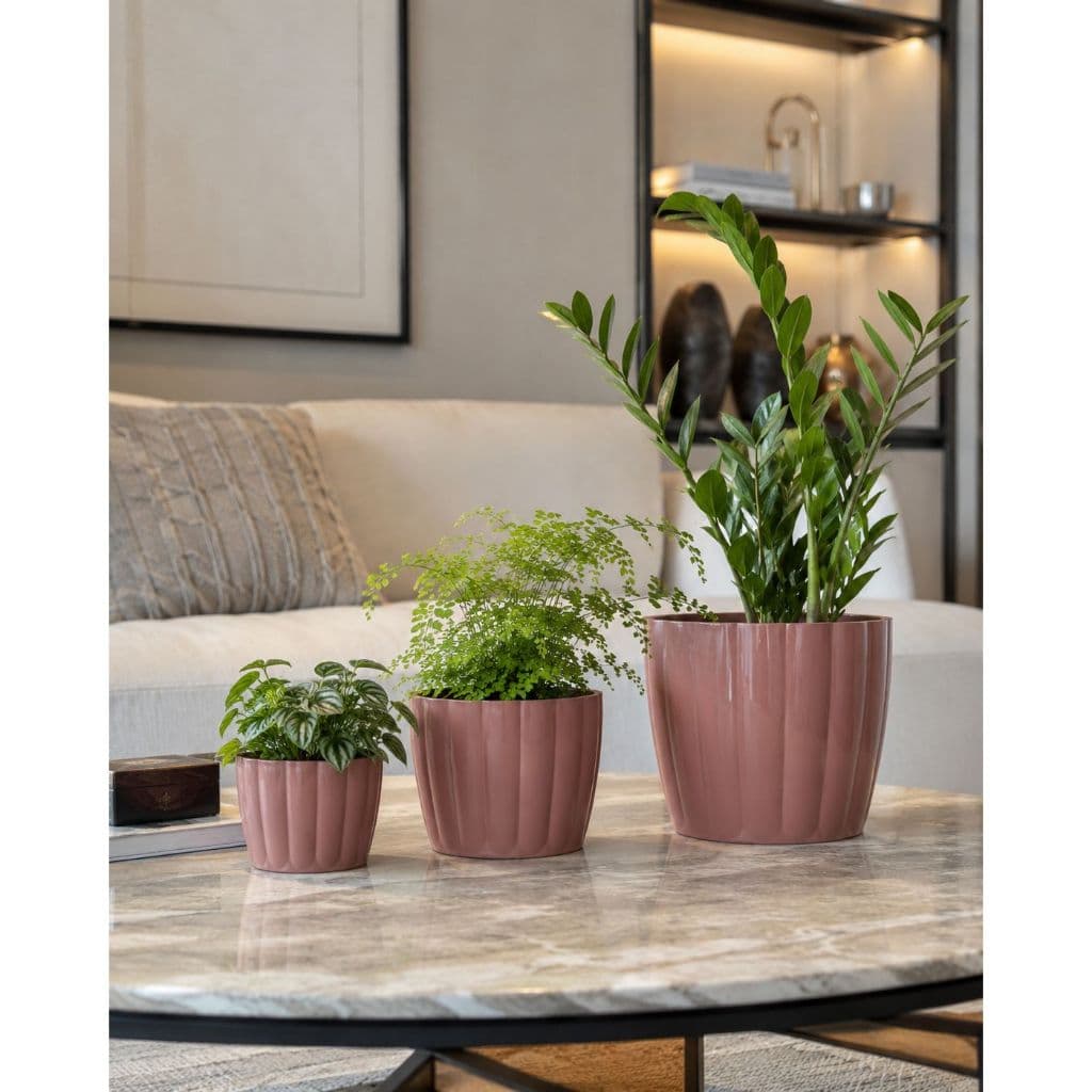 Kit De Vasos Decorativo Cachepot Planta Flor PMG Moranga Suculenta Mesa De Centro Vasinhos Pequenos