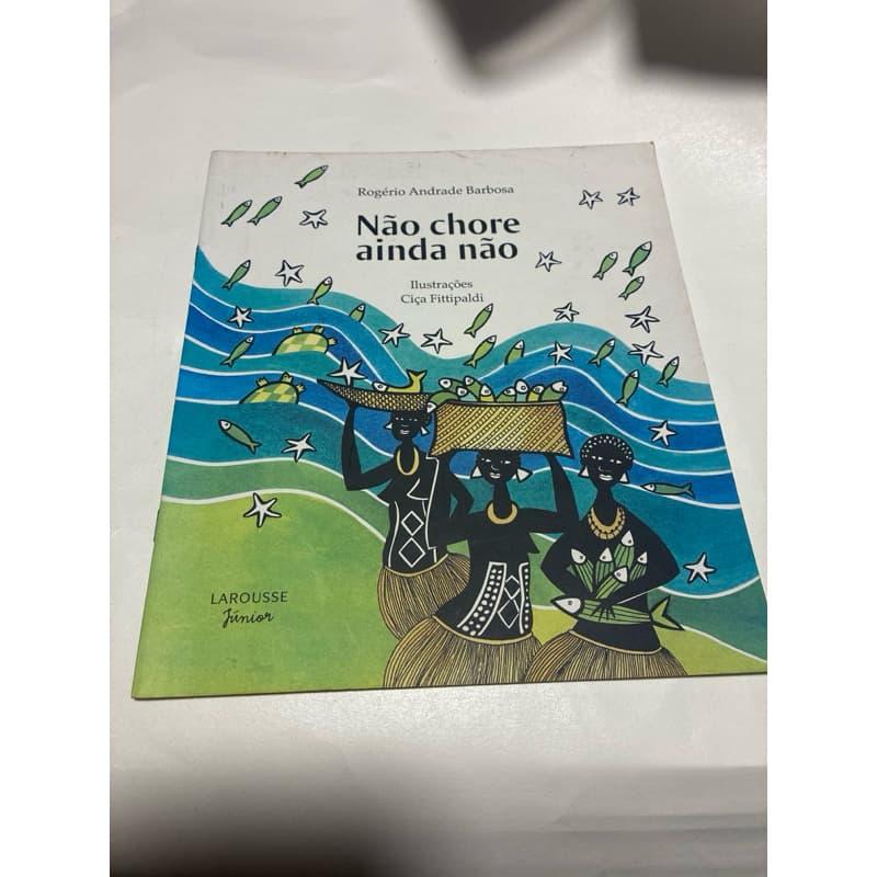 Livro Não Chore Ainda Não – Rogério Andrade Barbosa | Literatura Infantil | Larousse Júnior