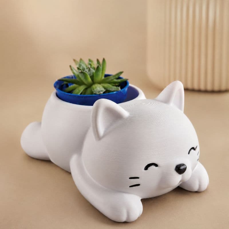 Vaso Decorativo Gato Fofo em Plástico para Suculenta Suculenta – Decoração Criativa para Casa, Presente Encantador