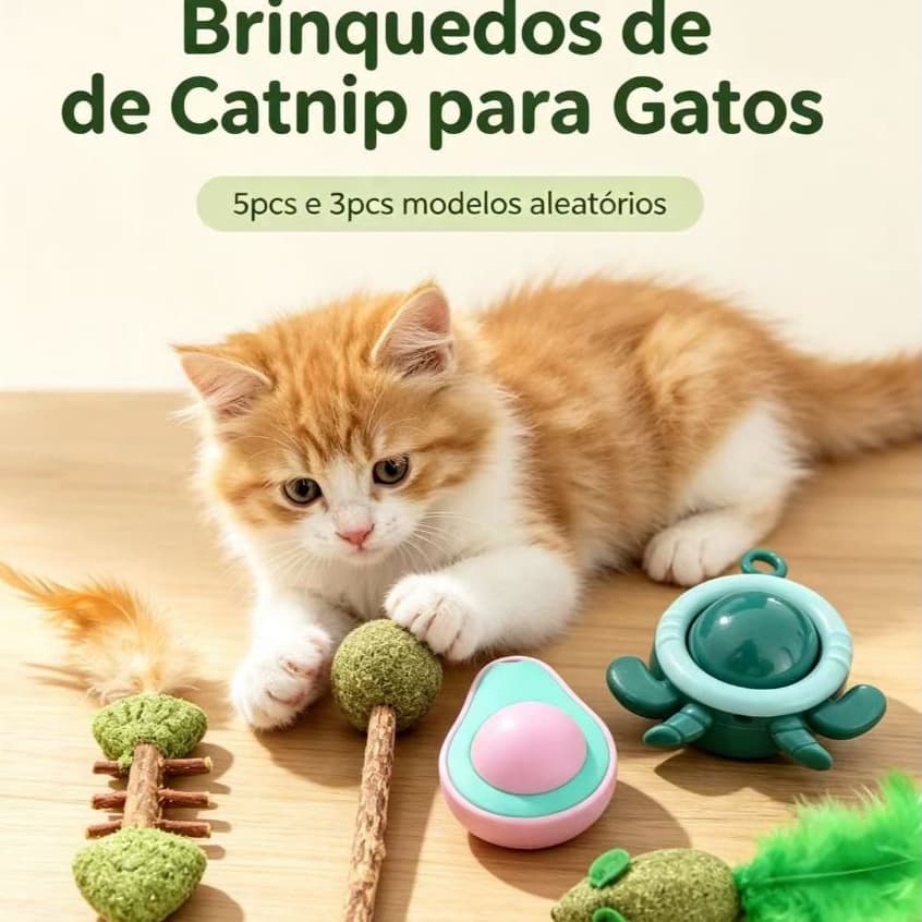 Kit 5/3 Brinquedos de erva-doce para gatos+ 1pcs Varinha  Modelos aleatórios Diversão e limpeza dental para o seu felin