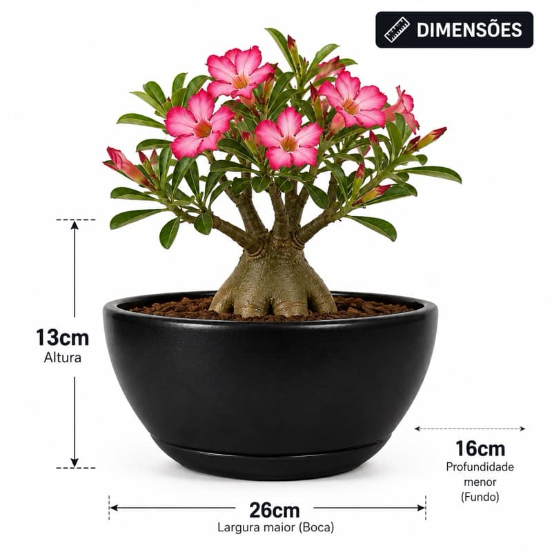 Bacia para Plantas Vaso de Polietileno com Prato Coletor Lisa Jardim Sala Varanda Resistente Sol e Chuva Rosa do Deserto