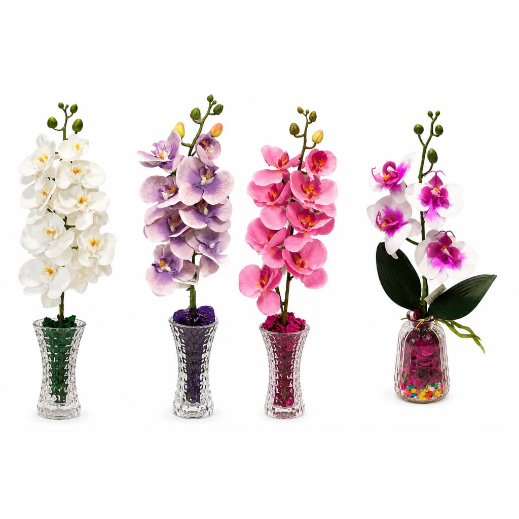 Orquidea, vaso com flor, vaso com Suculenta