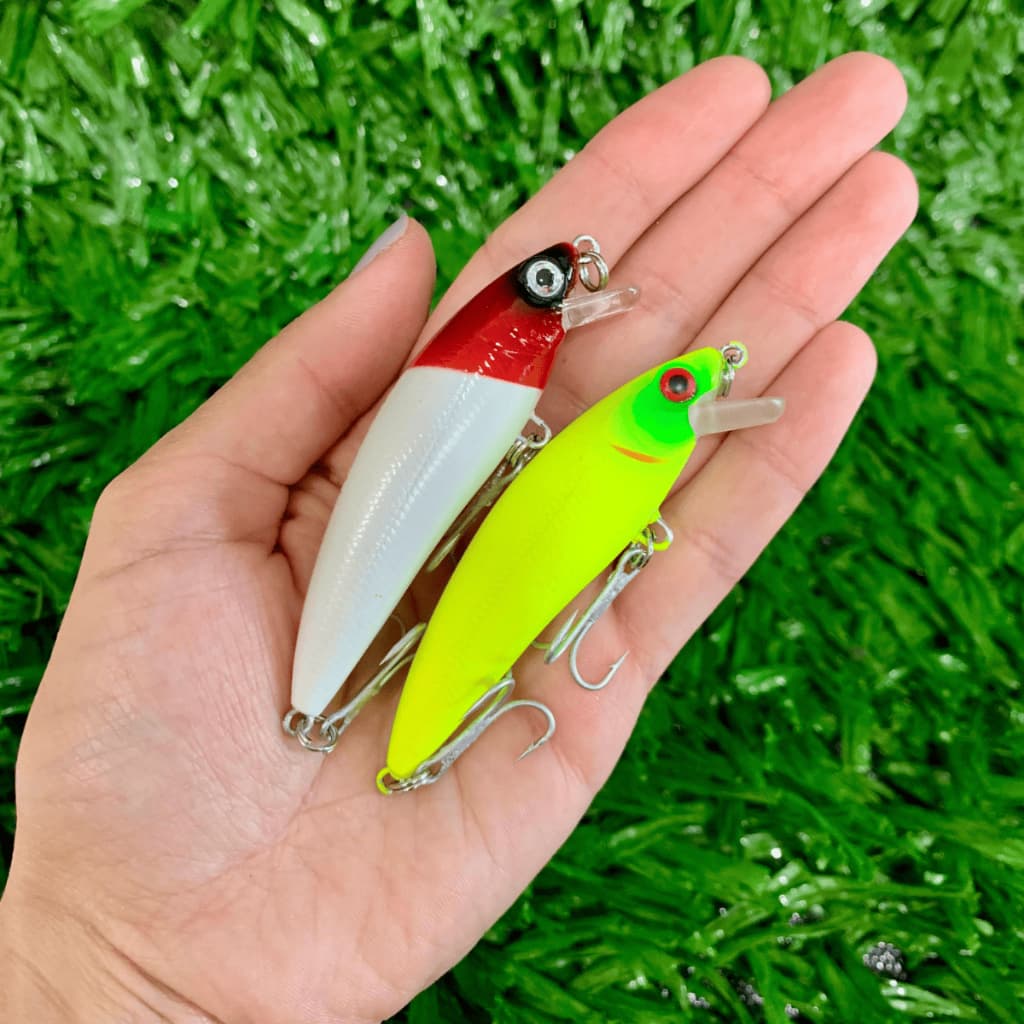 Kit 2 Isca Artificial Meia Água 7cm 9,2gr Estilo Inna 70 Lamazon Tambaqui 70