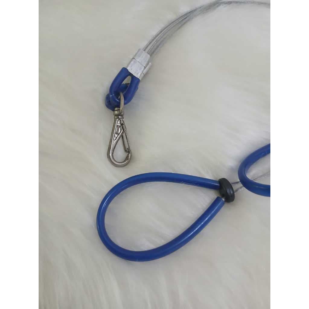Guia de Aço Dupla Azul  SpacePET Para Banho e Tosa 50/60 cm