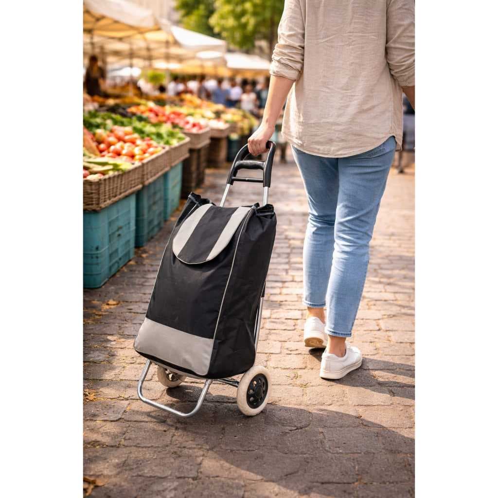 Carrinho de Feira Dobrável com Bolsa Sortida