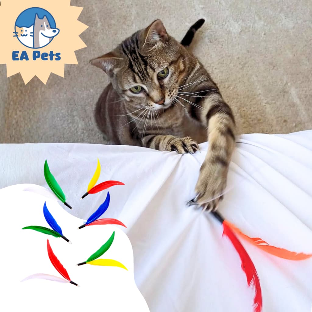 Refil Da Varinha Flying Cat Da Pet Games Com 6 Iscas Penadas Para Gato Brinquedo Para Caçar