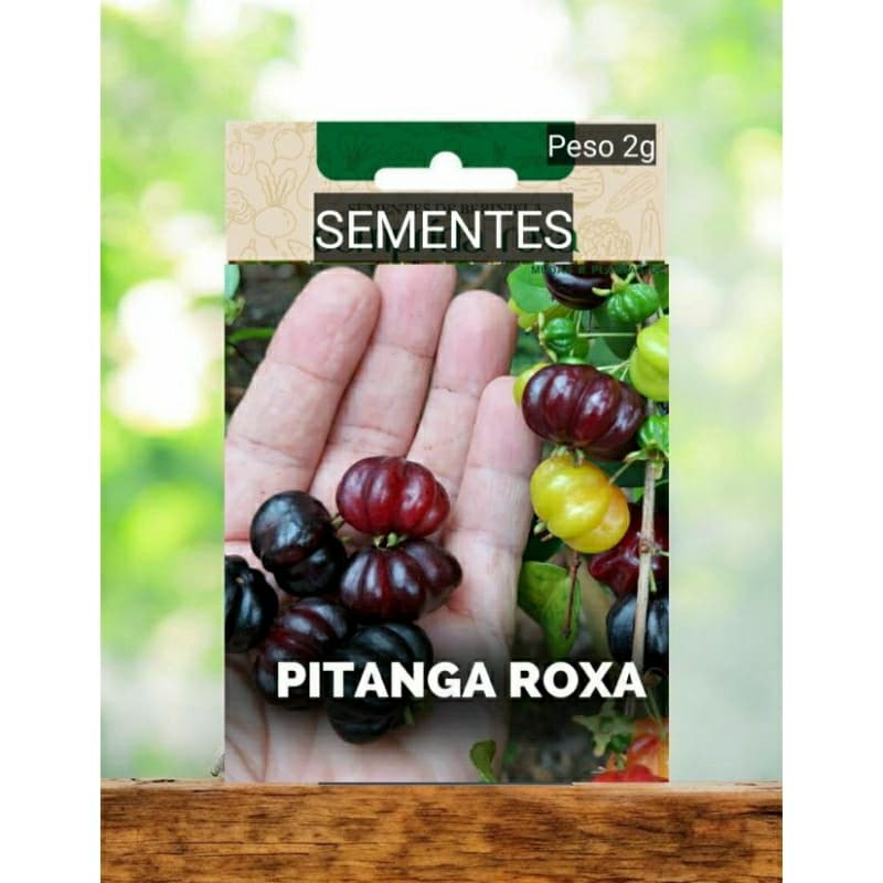 Sementes PITANGA Pitangueira ROXA GIGANTE doce plante Horta vaso OFERTA #2
