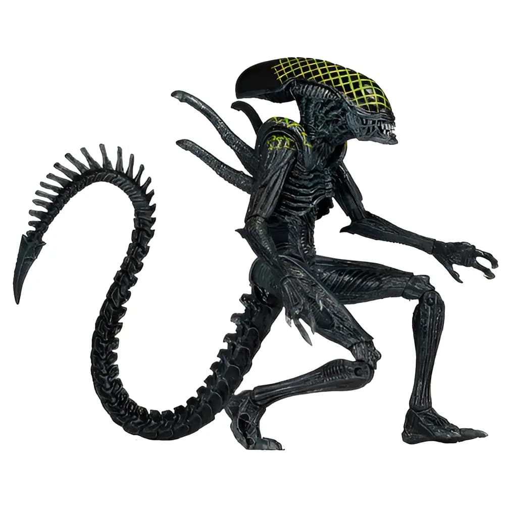 Grid Alien Vs Predador Neca Avp 20 Cm Raro