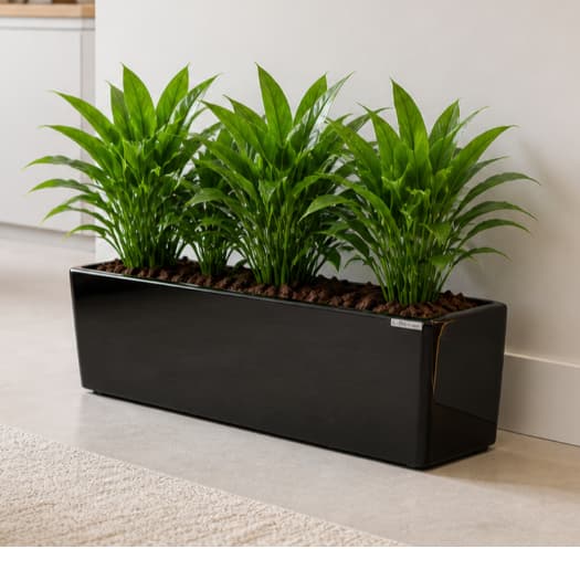 Vaso Floreira Jardineira Fibra de Vidro 76cm Olimpia LINDO VASO