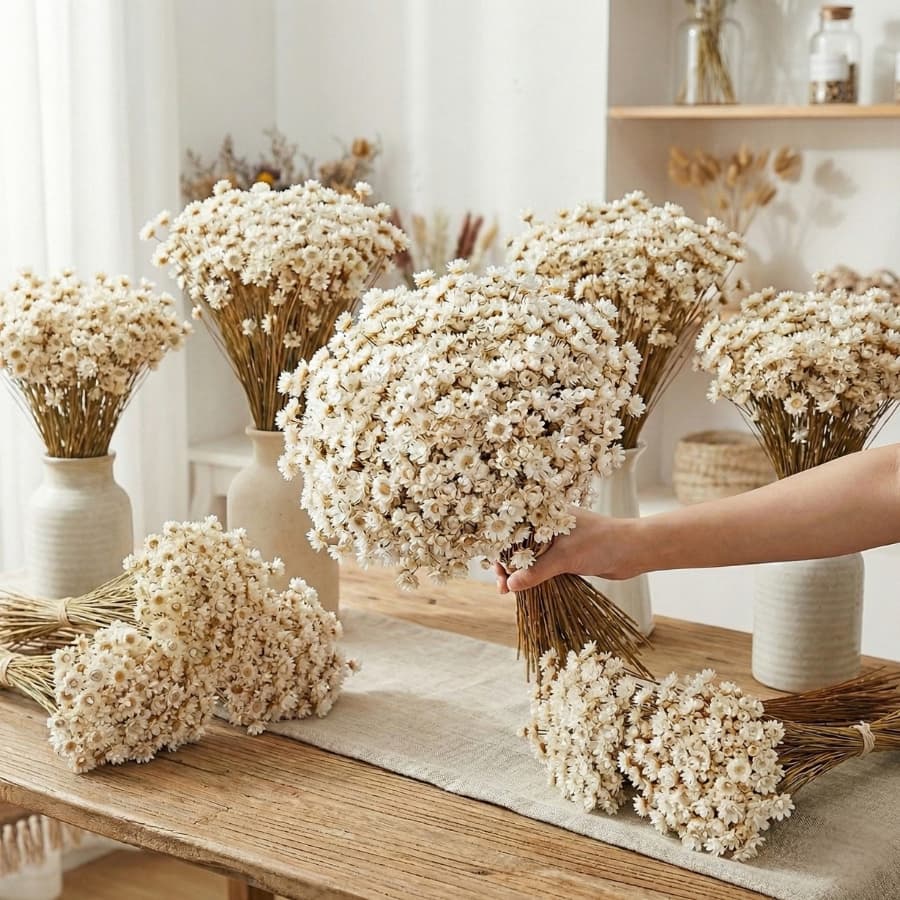Flor Sempre Viva Premium Cor Branca | 200 a 800 Flores Seca Desidratadas, Decoração, Arranjo e Buquê