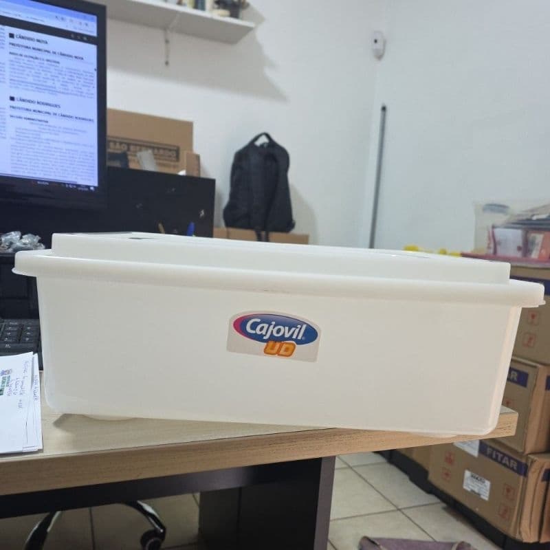 Caixa plastica organizadora 10 litros