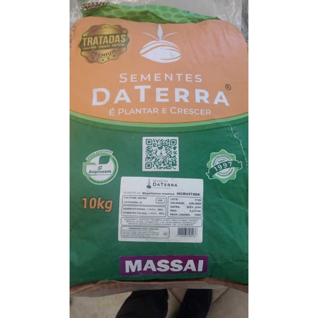 Semente de Capim Massai  Resistente a Solo Arido , Quente e Pisoteio Pacte Com 10kg