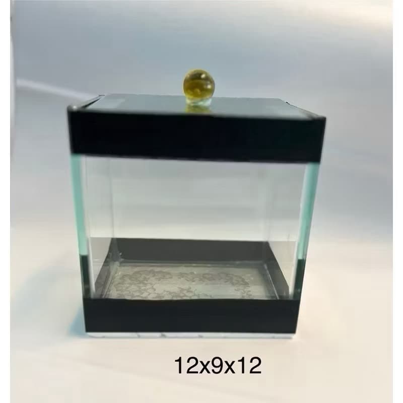 Aquário Beteira de Vidro 12x9x12 cm com Tampa  | Mini Aquário Decorativo para Peixe Betta