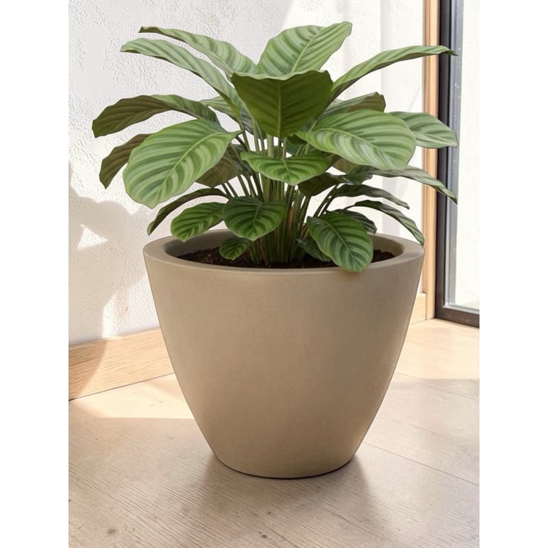 Vaso Bojo Redondo Extra Grande 76cm Polietileno Para Pata de Elefante Jardim