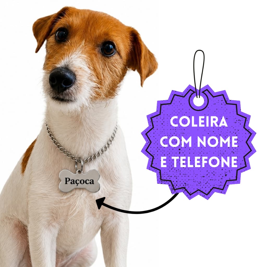 Coleira para Cachorro Gargantilha + Placa de Identificação com Nome e Telefone