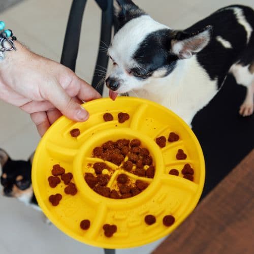 Comedouro Interativo Funcional para Cães e Gatos | Alimentação Lenta e Redução da Ansiedade - Petiko
