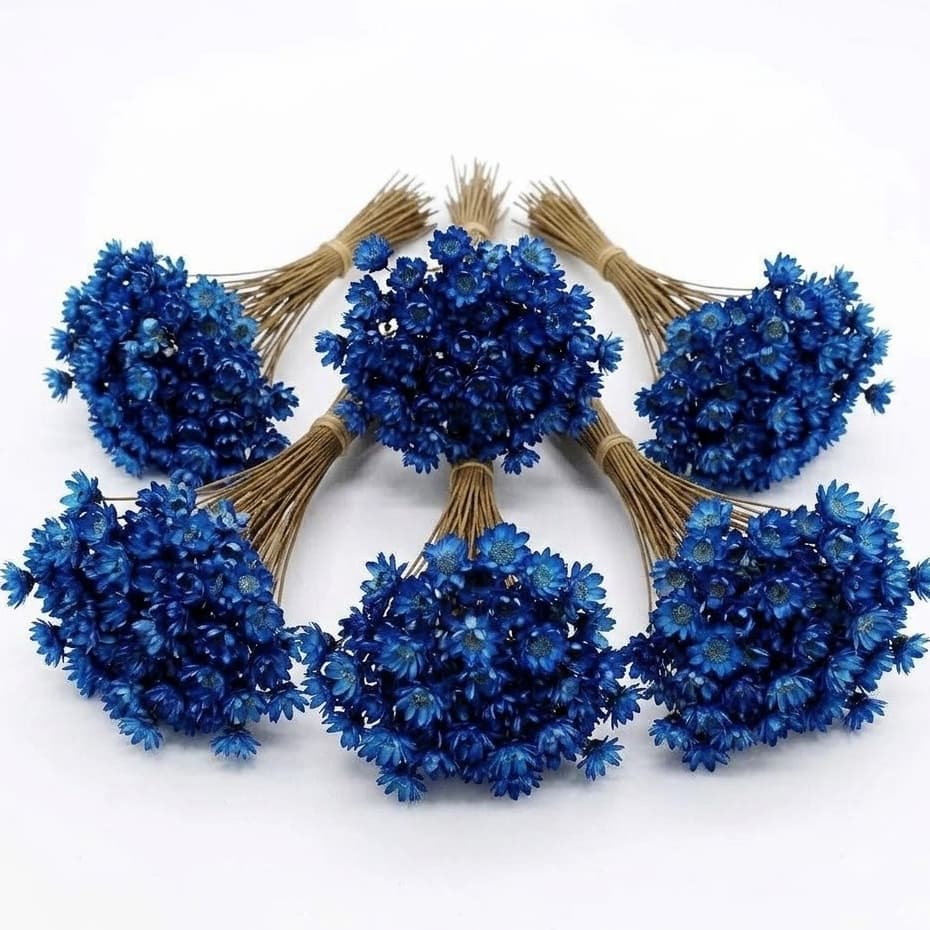 Flor Sempre Viva Seca e Desidratadas Cor Azul Escuro | 200 a 800 Flores Decoração, Arranjo e Buquê