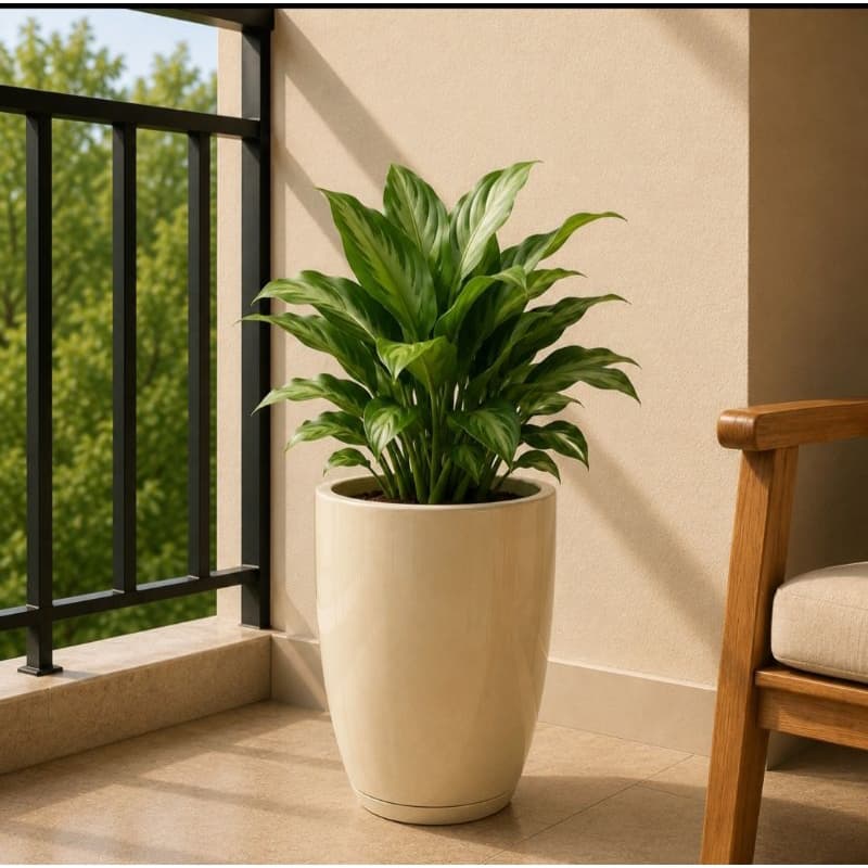 Vaso Cone Bojo Polido Nº1 Premium Para Plantas Jardim Decoração Casa Sala Varanda Com Plato Coletor