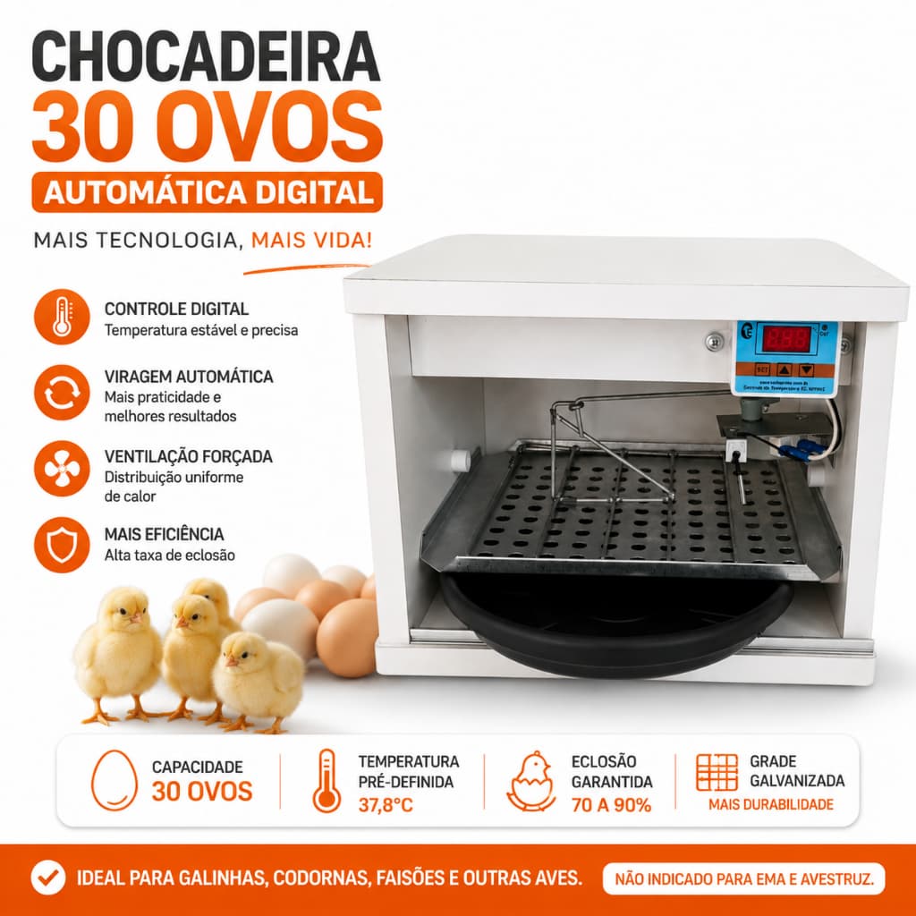 Incubadeira Automática 30 Ovos Digital Eclopinto Alta Qualidade