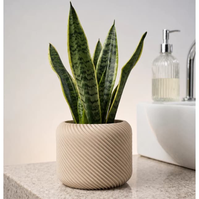 Vaso Decorativo Espiral Moderno Para Plantas Suculentas Cachepot 3D Geométrico