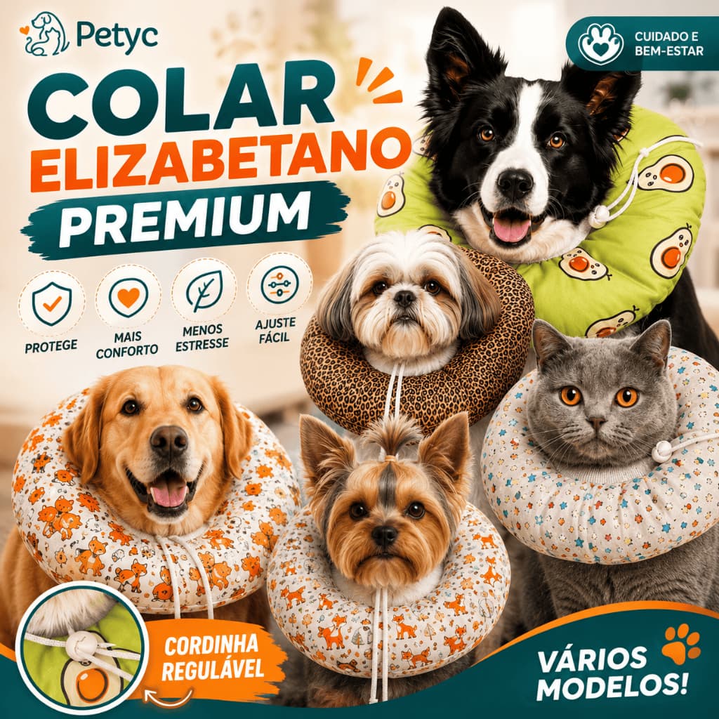 Colar Elizabetano Ajustável Petyc Cone Pós Cirúrgico Cães e Gatos Confortável Estampado Proteção Macio Regulagem Segura