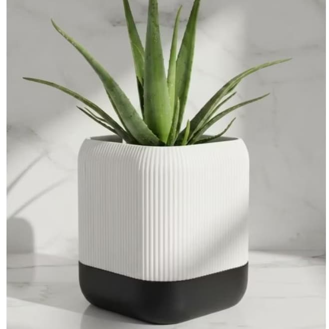 Vaso de Plantas Autoirrigável Branco com Base Preta - Vaso para Flores - Vaso para área interna