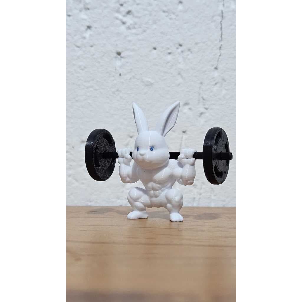 Coelho fitness - impresso em 3D - colecionáveis