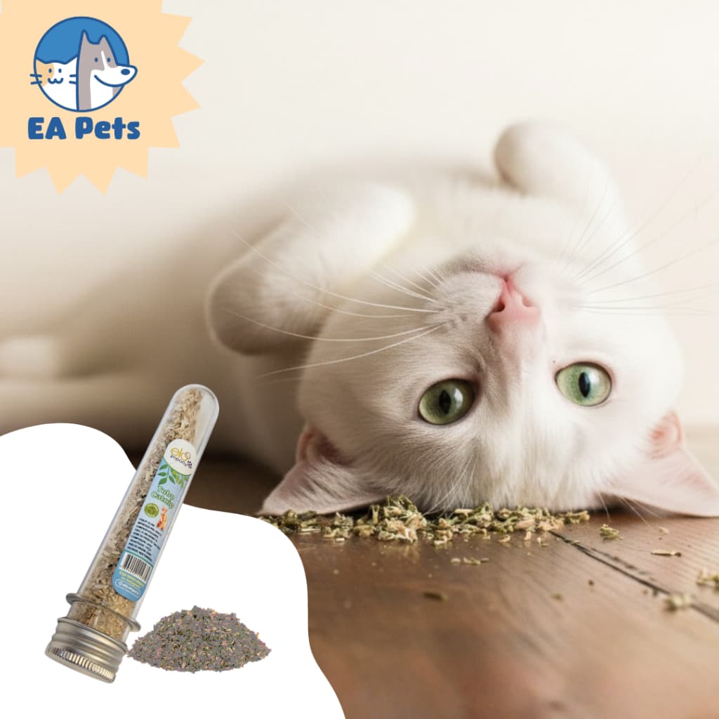 Tubo Catnip Natural para Gatos 5g – Erva Relaxante e Estimulante para Brinquedos.