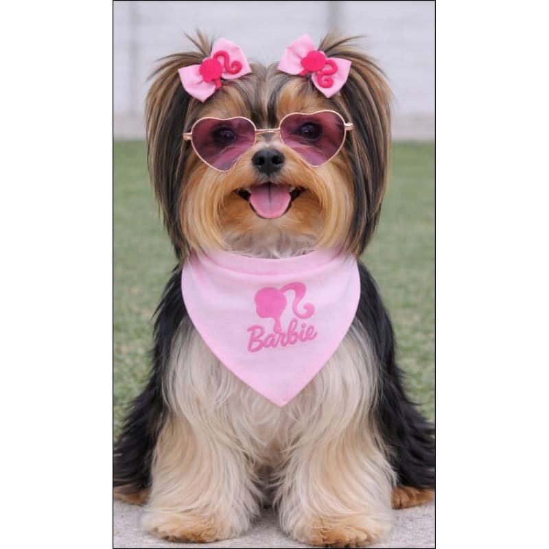 COLEIRA PESCOÇO COM BANDANA PARA CACHORRO