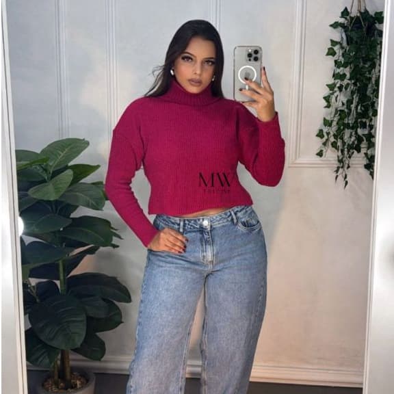 Blusa  Feminina Gola Alta Ponto Fang Básica Barra e Punho Canelado Outono Inverno 2026