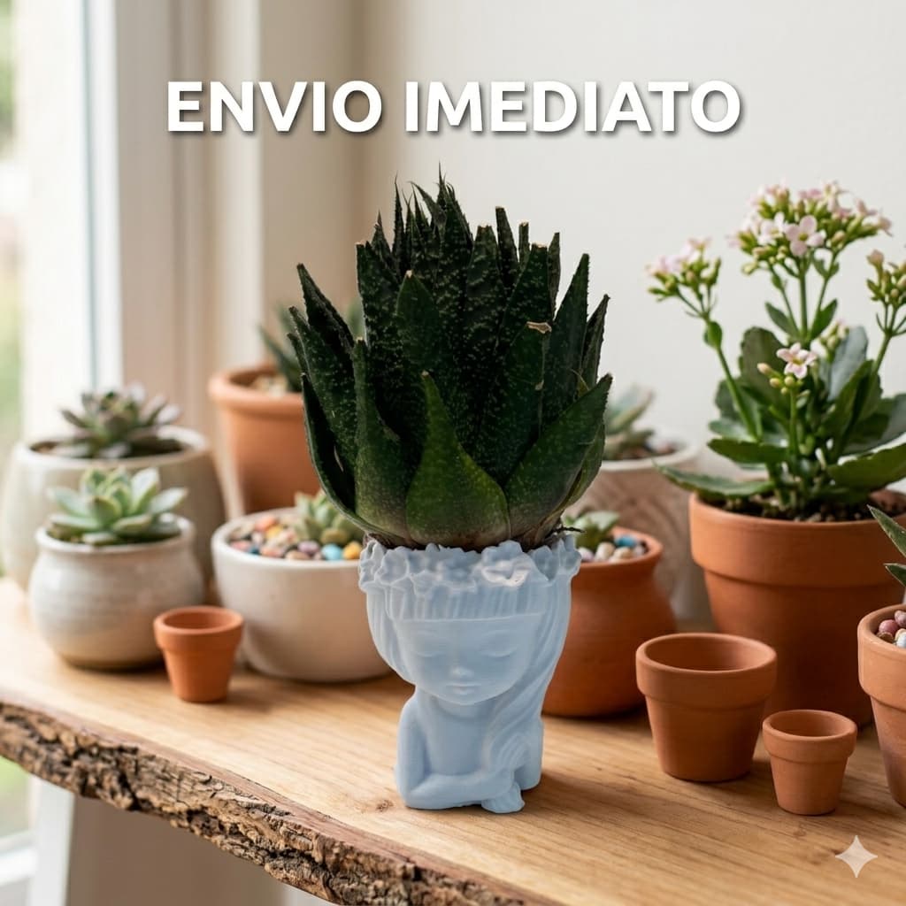 Vaso Menina Encantada – Flor pequenas e suculentas - Elegância e Delicadeza para sua Decoração