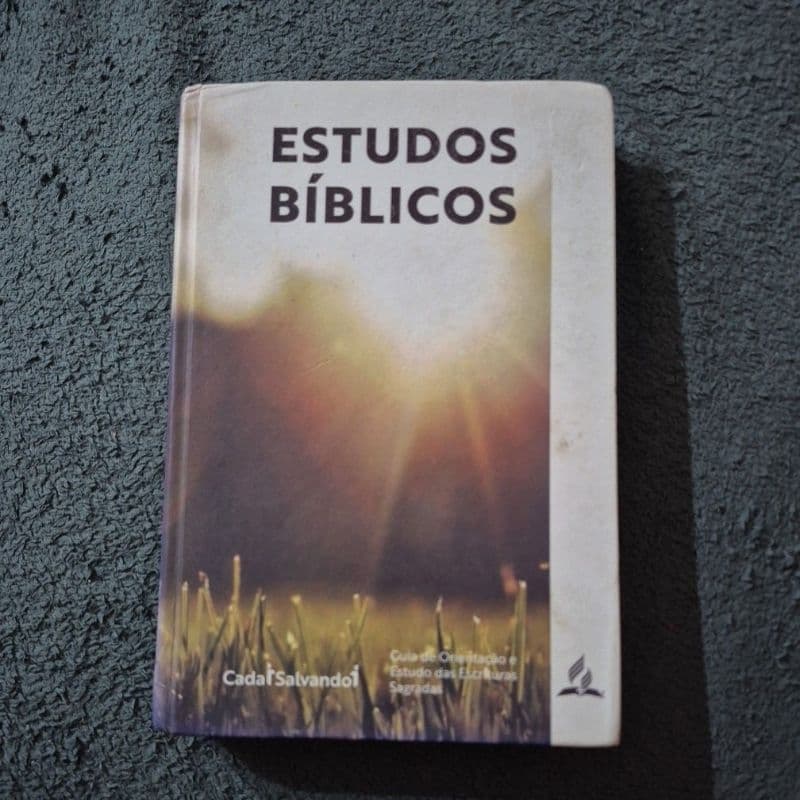livro estudos bíblicos guia de orientação e estudo das escrituras sagradas
