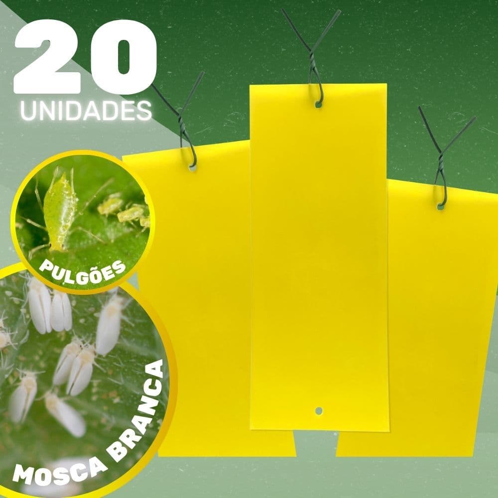Placa Amarela de Monitoramento Kit 20un Cigarrinha do Milho Coleagro