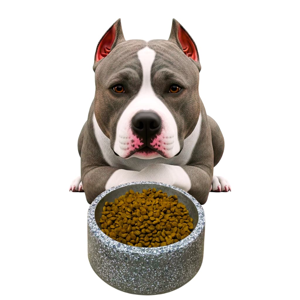 Bebedouro Comedouro pet Pote 1250ML Comedouro Até 700 gm Pesado granitado mosaico
