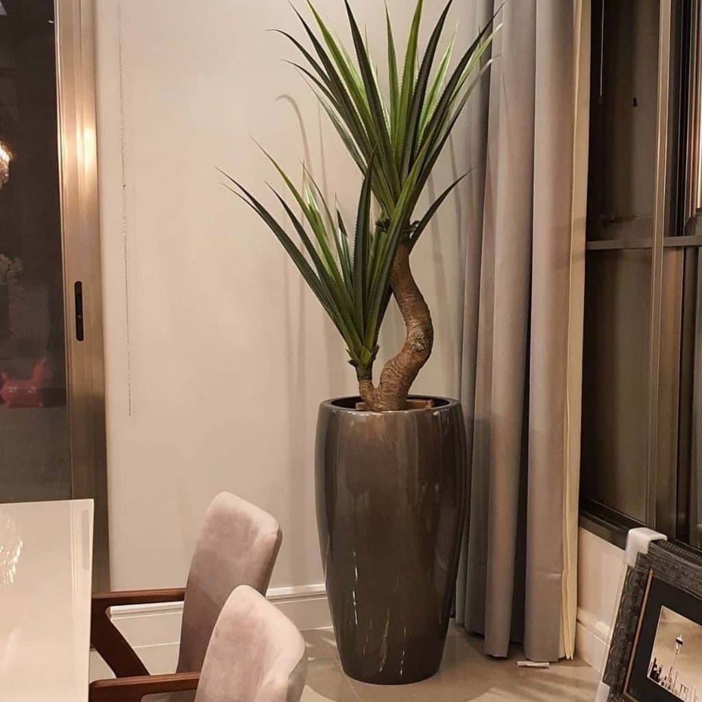 Vaso Fibra De Vidro Atenas M 67cm Vietnamita Decorativo LINDO VASO