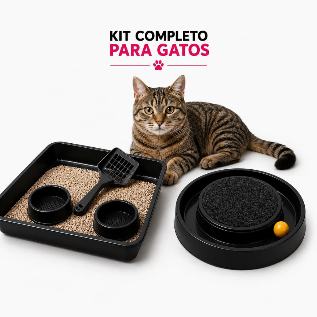 Kit Completo para Gatos - Caixa De Areia Arranhador Comedouro e Pá