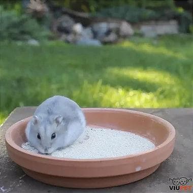 Pó Para Banho A Seco Para Roedores Rói Rói 1kg -  Para Chinchila, Hamster e Roedores 1kg