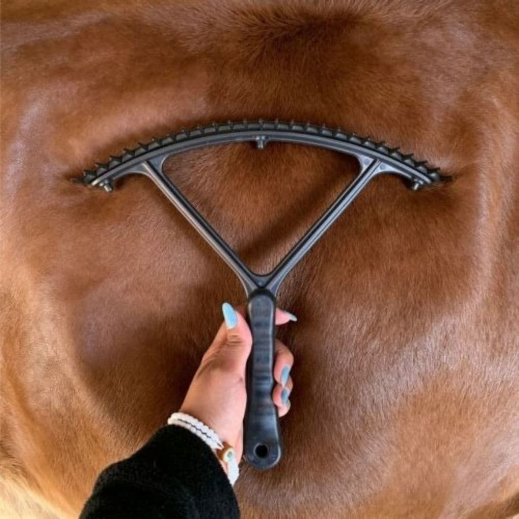 Pente Profissional para Crina de Cavalos e Animais