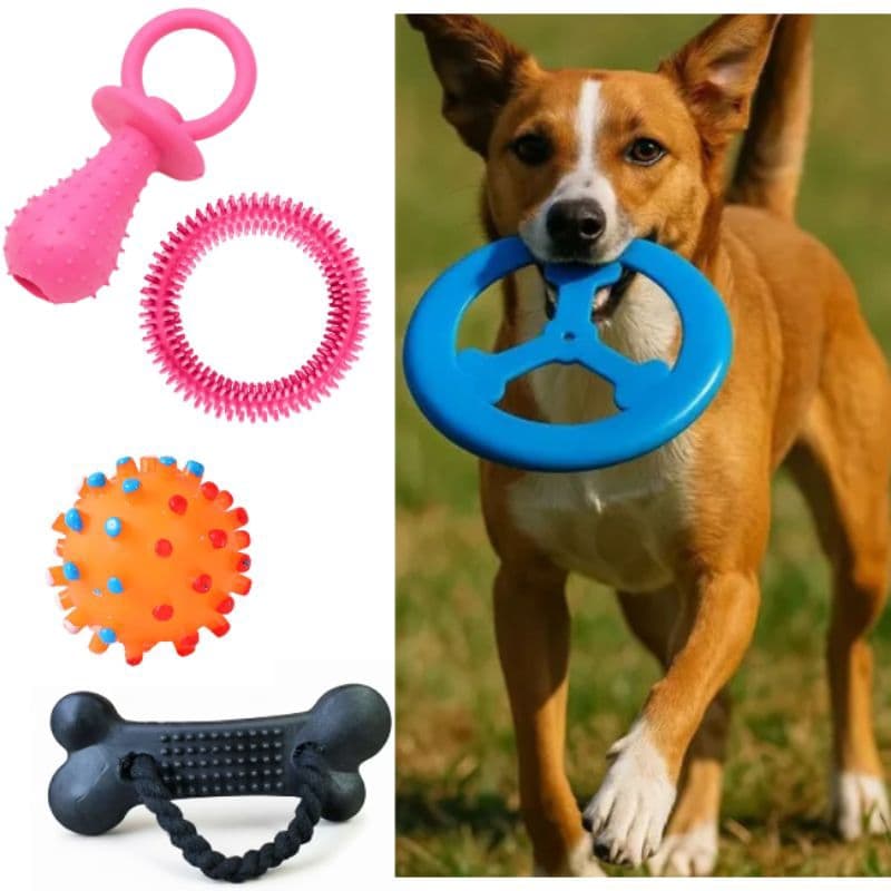 Brinquedos para Cachorros Pequenos Mordedor Pet 5 Peças Bolinha Mordedores Resistente Combo