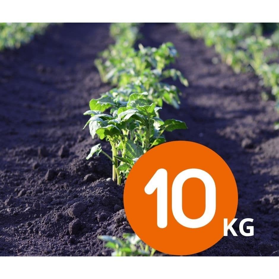 Saco de Terra Adubada 10 kg - Minhoco - Horta - Plantas - Jardim - Vasos - Suculenta