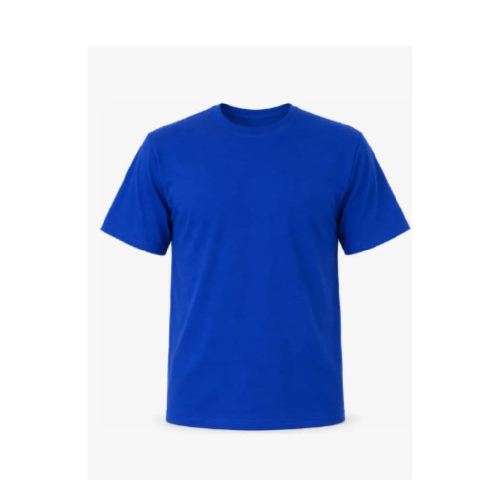 Camiseta Masculina 100% Algodão Premium Alta Qualidade Envio Rápido