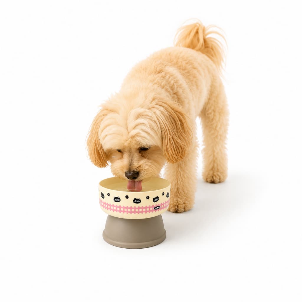 Comedouros Elevado para Cachorro e Gato Tigela Ergonômica para Ração e Água