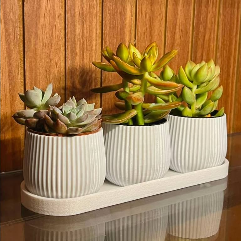 Kit 3 Vasinhos/Vasos canelado com Bandeja Cachepô Moderno com Suporte para Suculentas e Cactos Planta Artificial plástic