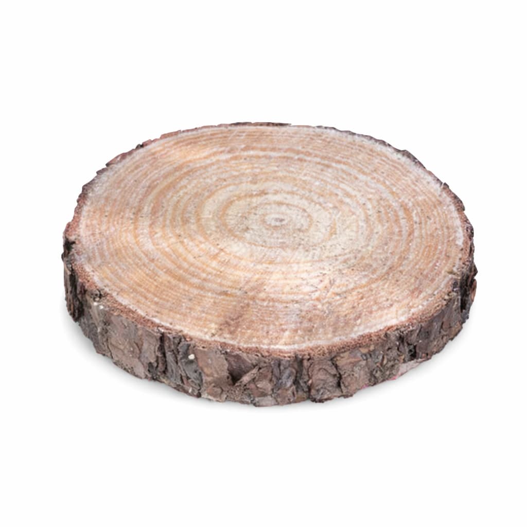40 Discos de Madeira Rústica 10-20cm | Ideal para Decoração, Casamento e DIY