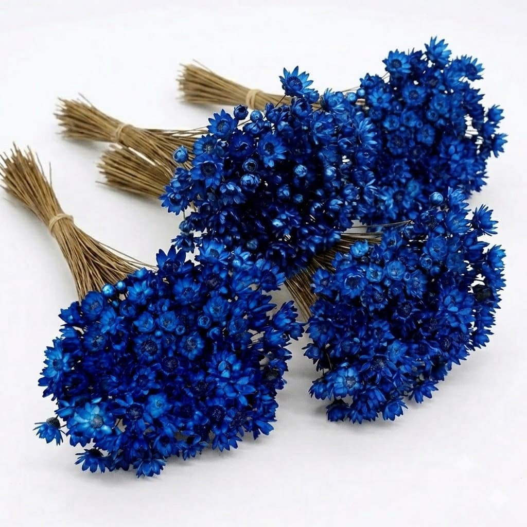 Flor Sempre Viva Azul Escuro 200/400/1.000 Flores Secas e Desidratadas para Decoração, Arranjos e Buquês