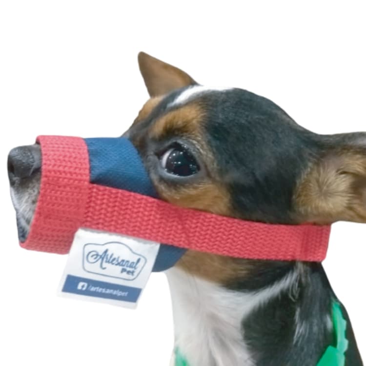 Focinheira confortável para cães